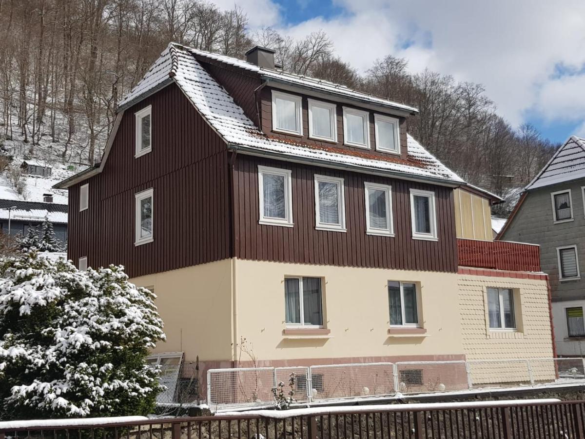 Ferienhaus Am Fluss Mit Traumhafter Dachterrasse ,Garten Und Grill Walkenried Kültér fotó