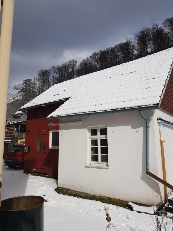 Ferienhaus Am Fluss Mit Traumhafter Dachterrasse ,Garten Und Grill Walkenried Kültér fotó