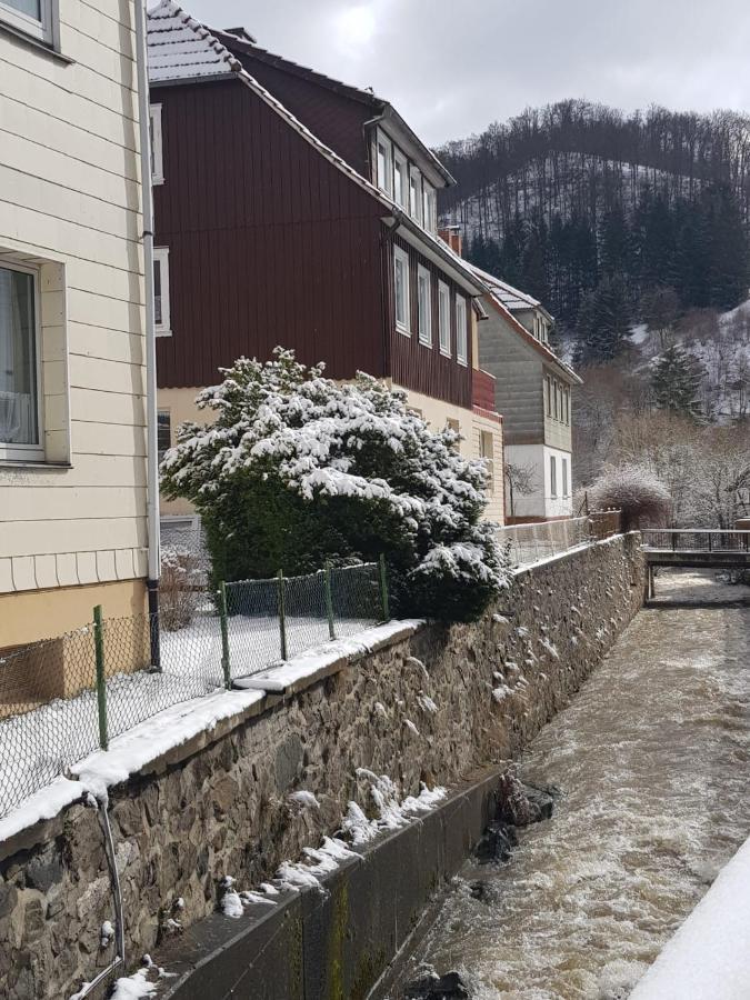 Ferienhaus Am Fluss Mit Traumhafter Dachterrasse ,Garten Und Grill Walkenried Kültér fotó