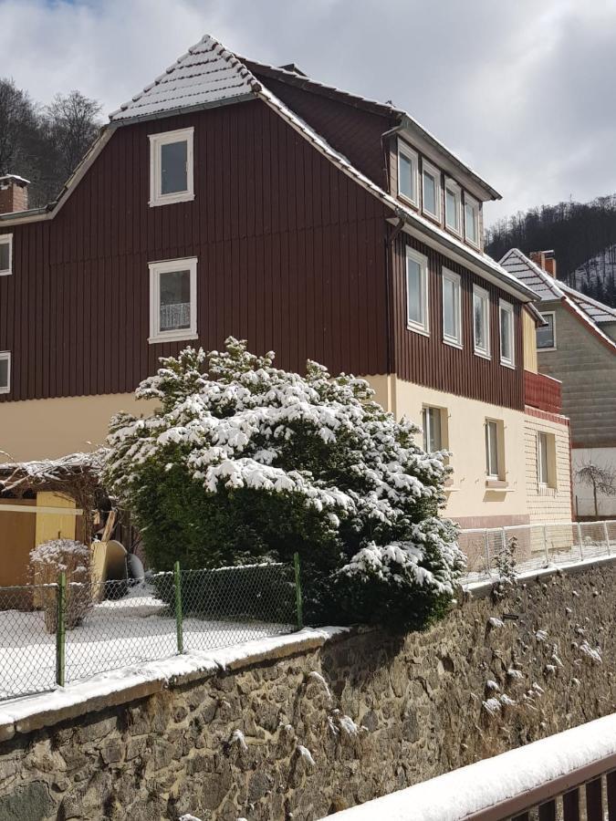 Ferienhaus Am Fluss Mit Traumhafter Dachterrasse ,Garten Und Grill Walkenried Kültér fotó