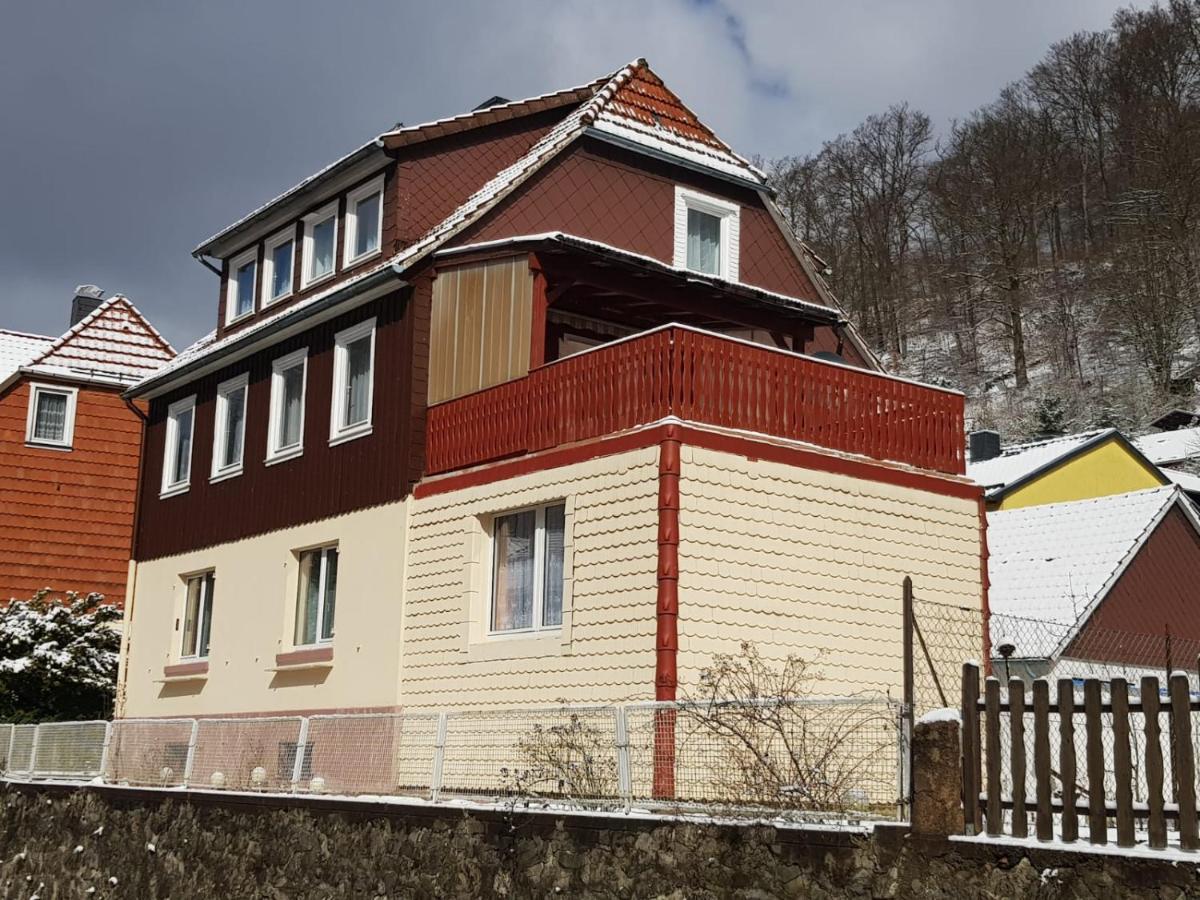 Ferienhaus Am Fluss Mit Traumhafter Dachterrasse ,Garten Und Grill Walkenried Kültér fotó