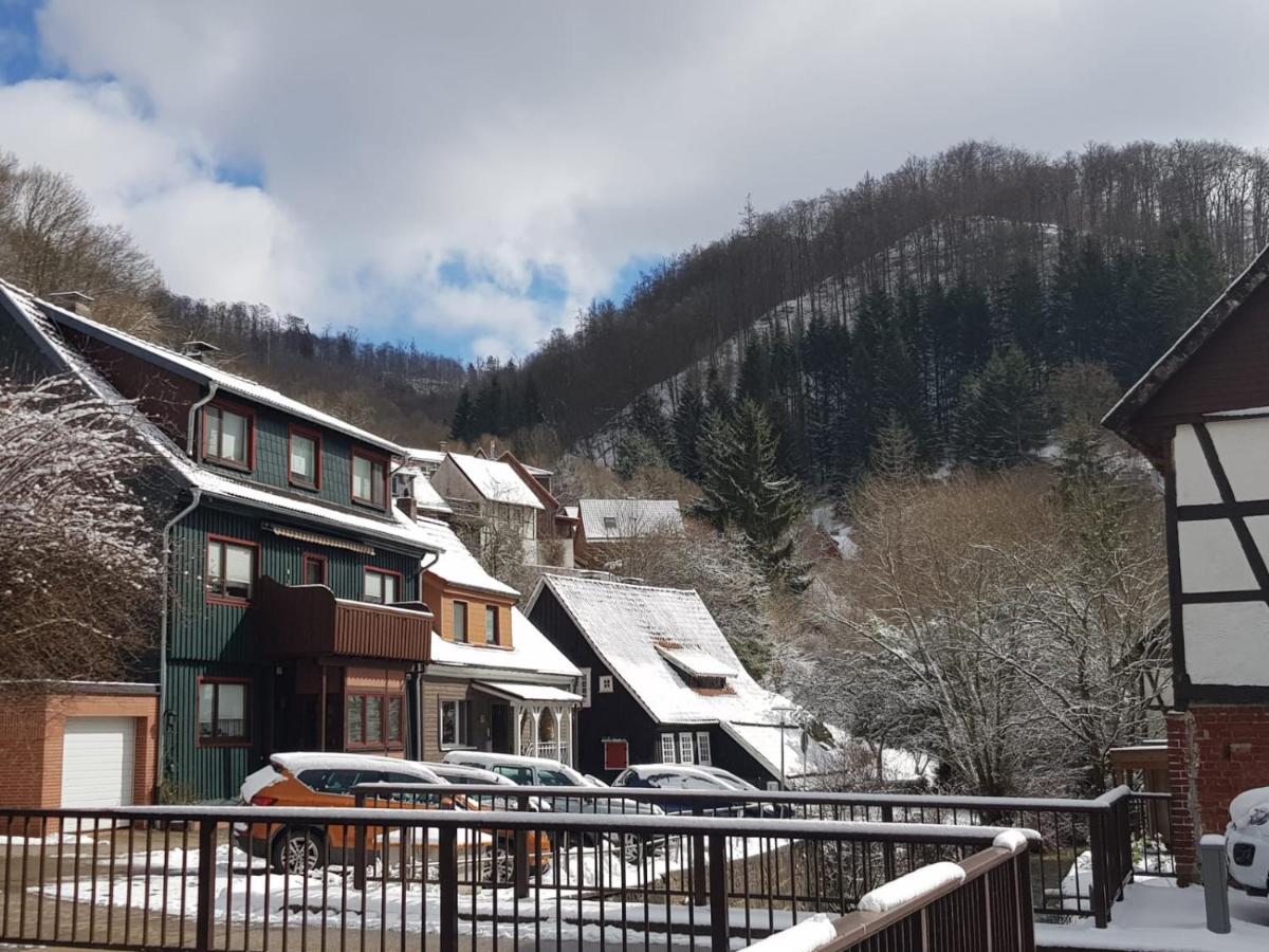 Ferienhaus Am Fluss Mit Traumhafter Dachterrasse ,Garten Und Grill Walkenried Kültér fotó