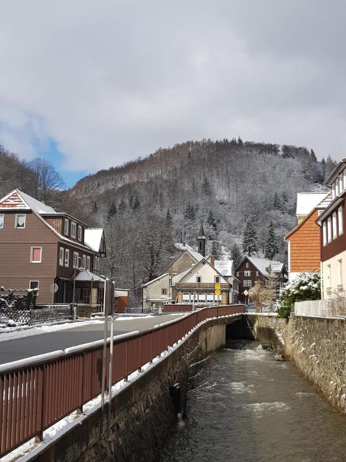 Ferienhaus Am Fluss Mit Traumhafter Dachterrasse ,Garten Und Grill Walkenried Kültér fotó