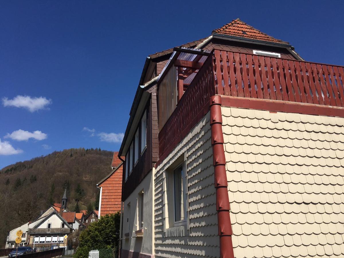 Ferienhaus Am Fluss Mit Traumhafter Dachterrasse ,Garten Und Grill Walkenried Kültér fotó