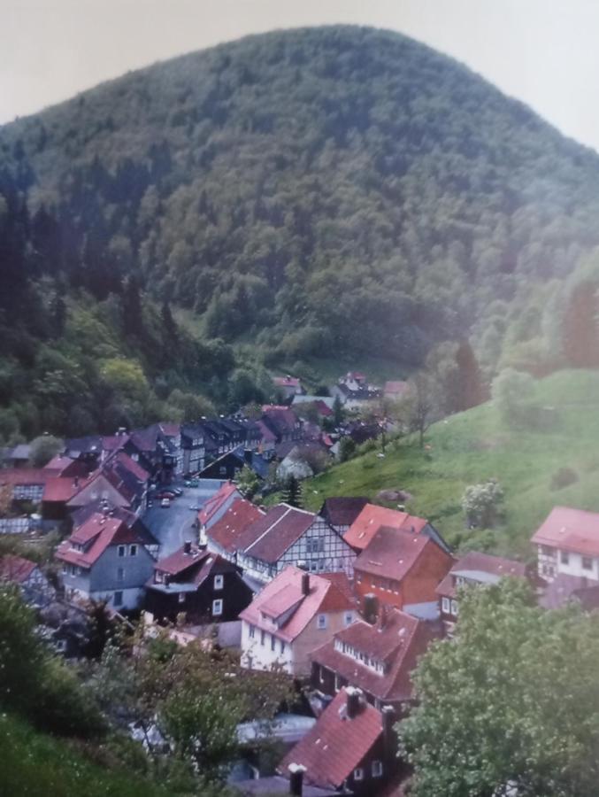 Ferienhaus Am Fluss Mit Traumhafter Dachterrasse ,Garten Und Grill Walkenried Kültér fotó